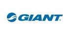 Giant Bicycles